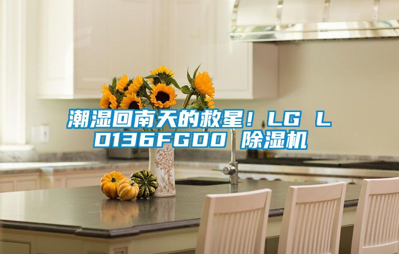 潮濕回南天的救星！LG LD136FGD0 除濕機