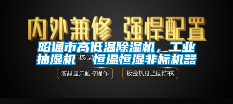 昭通市高低溫除濕機(jī)，工業(yè)抽濕機(jī)  恒溫恒濕非標(biāo)機(jī)器