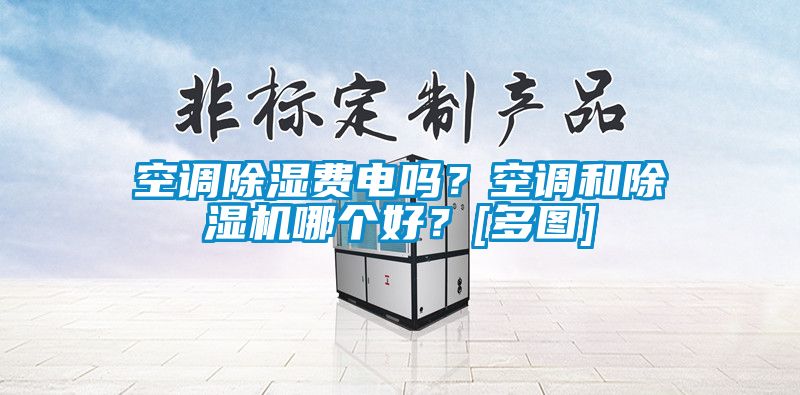 空調(diào)除濕費電嗎？空調(diào)和除濕機哪個好？[多圖]