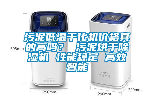 污泥低溫干化機價格真的高嗎？ 污泥烘干除濕機 性能穩(wěn)定 高效智能