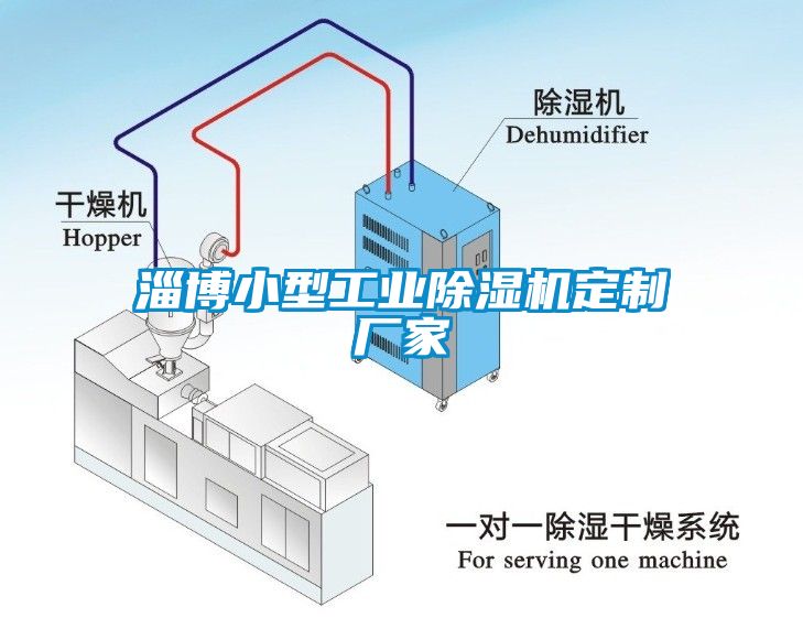 淄博小型工業(yè)除濕機定制廠家