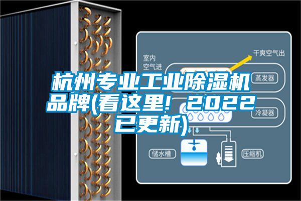 杭州專業(yè)工業(yè)除濕機(jī)品牌(看這里! 2022已更新)