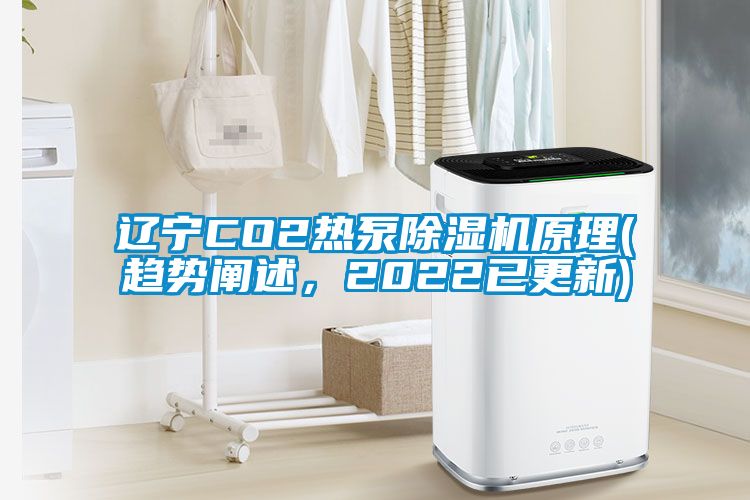 遼寧CO2熱泵除濕機(jī)原理(趨勢(shì)闡述，2022已更新)