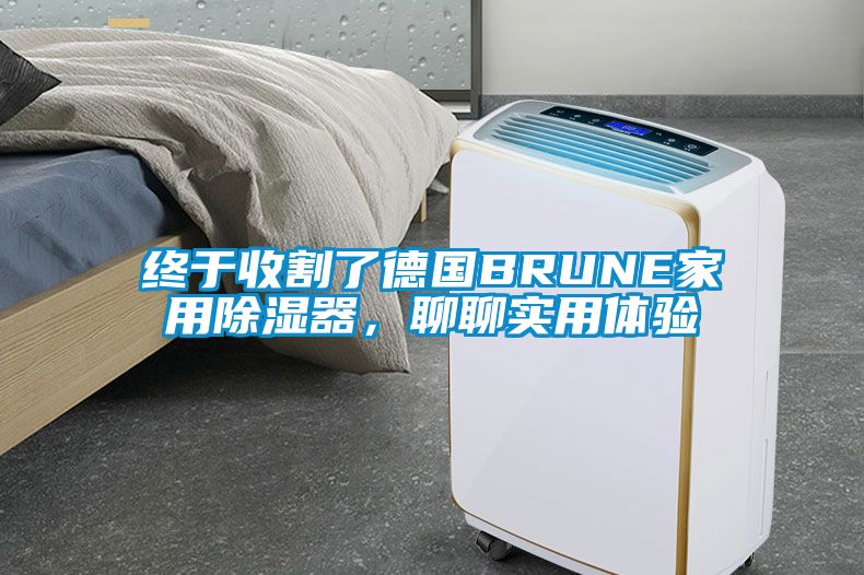 終于收割了德國BRUNE家用除濕器，聊聊實(shí)用體驗(yàn)