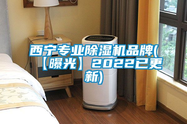 西寧專業(yè)除濕機(jī)品牌(【曝光】2022已更新)