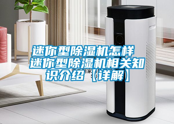 迷你型除濕機怎樣 迷你型除濕機相關知識介紹【詳解】