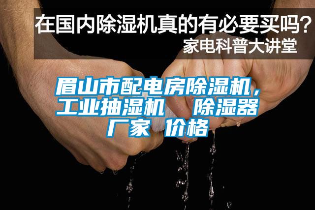 眉山市配電房除濕機，工業(yè)抽濕機  除濕器廠家 價格