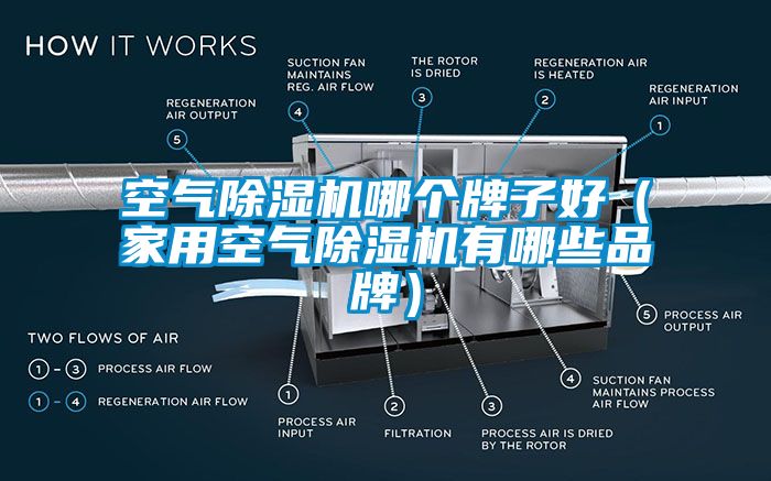 空氣除濕機哪個牌子好（家用空氣除濕機有哪些品牌）