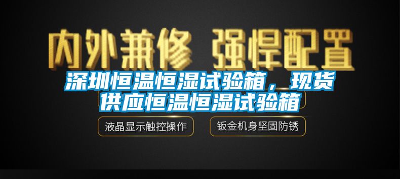 深圳恒溫恒濕試驗(yàn)箱，現(xiàn)貨供應(yīng)恒溫恒濕試驗(yàn)箱