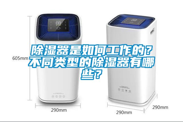 除濕器是如何工作的？不同類型的除濕器有哪些？