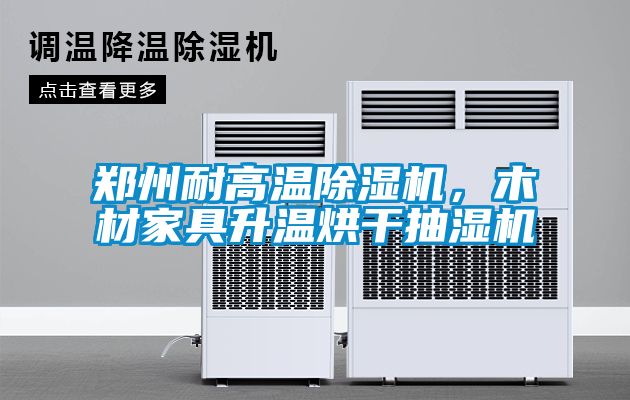 鄭州耐高溫除濕機，木材家具升溫烘干抽濕機