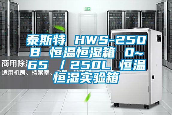 泰斯特 HWS-250B 恒溫恒濕箱 0~65℃／250L 恒溫恒濕實(shí)驗(yàn)箱