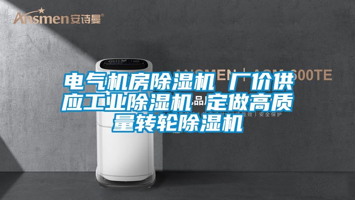 電氣機房除濕機 廠價供應工業(yè)除濕機 定做高質(zhì)量轉(zhuǎn)輪除濕機