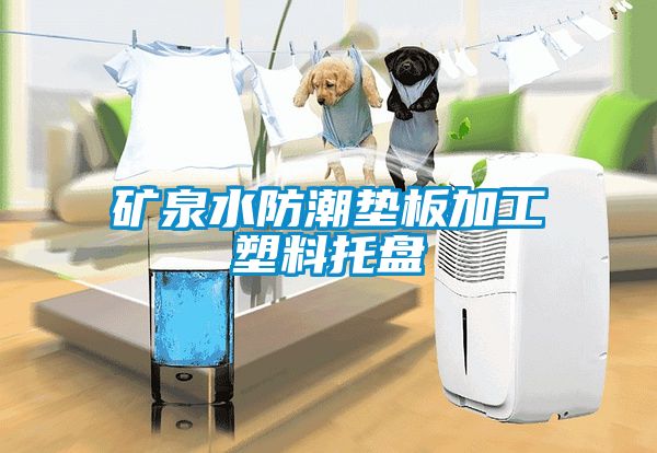 礦泉水防潮墊板加工塑料托盤