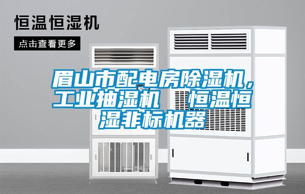 眉山市配電房除濕機(jī)，工業(yè)抽濕機(jī)  恒溫恒濕非標(biāo)機(jī)器