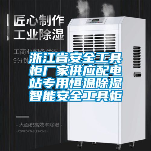 浙江省安全工具柜廠(chǎng)家供應(yīng)配電站專(zhuān)用恒溫除濕智能安全工具柜