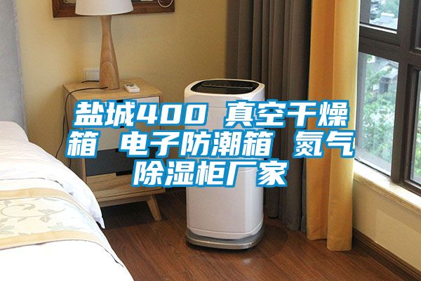 鹽城400℃真空干燥箱 電子防潮箱 氮氣除濕柜廠家