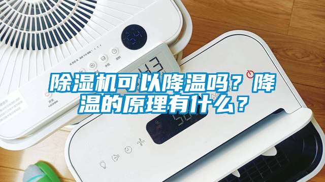 除濕機(jī)可以降溫嗎？降溫的原理有什么？