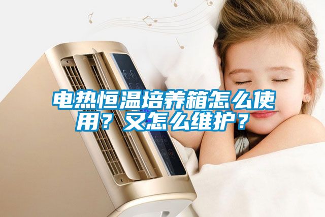 電熱恒溫培養(yǎng)箱怎么使用？又怎么維護？