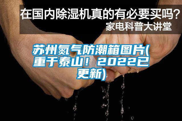 蘇州氮?dú)夥莱毕鋱D片(重于泰山！2022已更新)