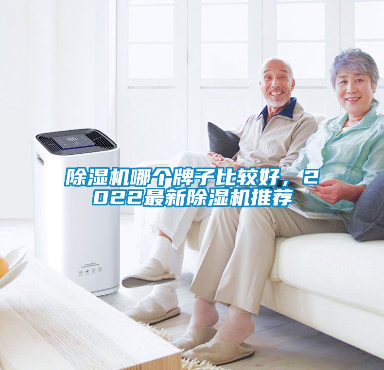 除濕機(jī)哪個牌子比較好，2022最新除濕機(jī)推薦