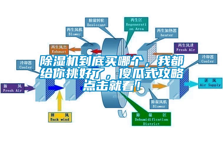 除濕機到底買哪個，我都給你挑好了，傻瓜式攻略點擊就看！