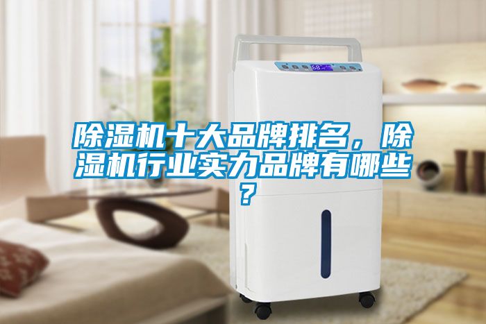 除濕機十大品牌排名，除濕機行業(yè)實力品牌有哪些？