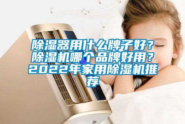 除濕器用什么牌子好？除濕機哪個品牌好用？2022年家用除濕機推薦