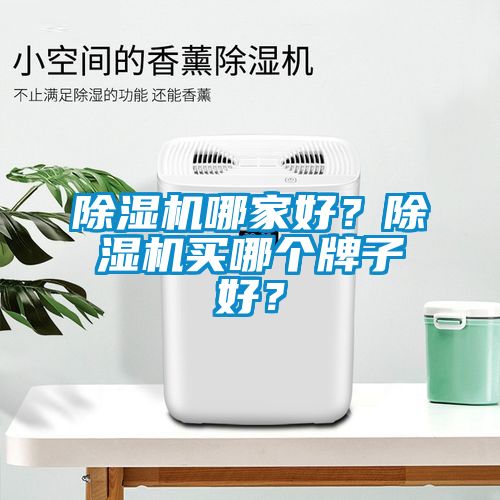 除濕機(jī)哪家好？除濕機(jī)買哪個(gè)牌子好？