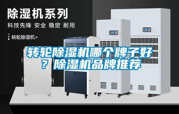 轉輪除濕機哪個牌子好？除濕機品牌推薦