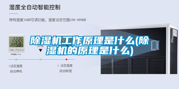 除濕機工作原理是什么(除濕機的原理是什么)