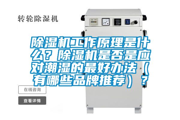 除濕機工作原理是什么？除濕機是否是應(yīng)對潮濕的最好辦法（有哪些品牌推薦）？