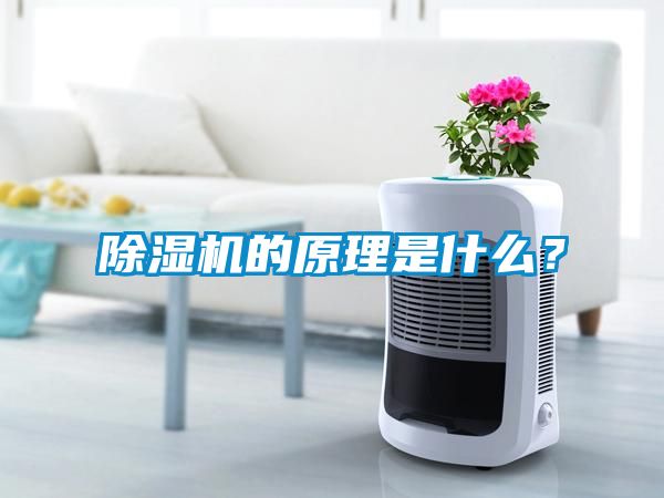 除濕機的原理是什么？