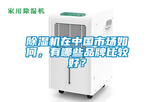 除濕機(jī)在中國市場如何，有哪些品牌比較好？