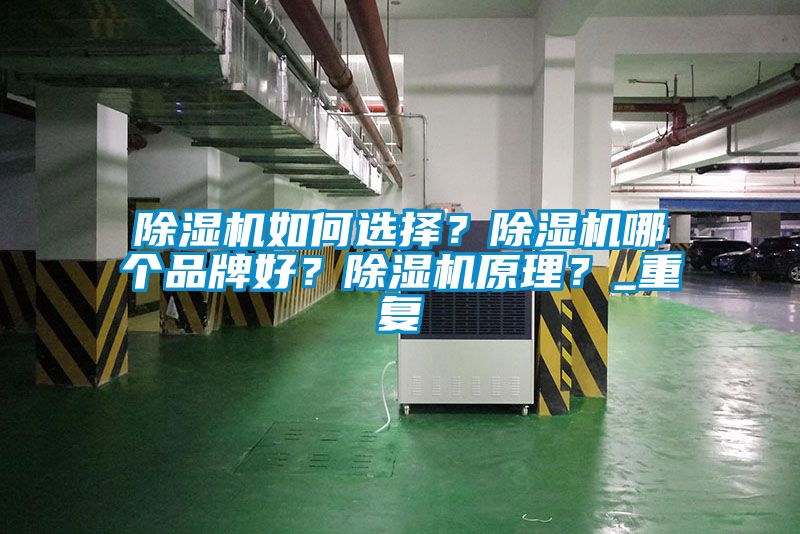 除濕機如何選擇？除濕機哪個品牌好？除濕機原理？_重復