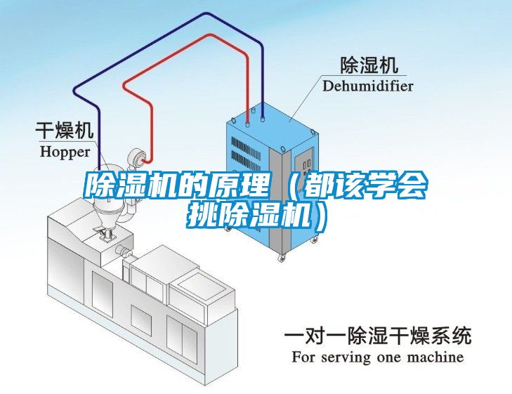 除濕機的原理（都該學會挑除濕機）