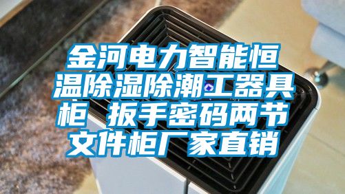 金河電力智能恒溫除濕除潮工器具柜 扳手密碼兩節(jié)文件柜廠家直銷