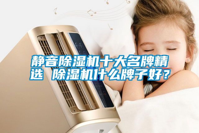 靜音除濕機十大名牌精選 除濕機什么牌子好？