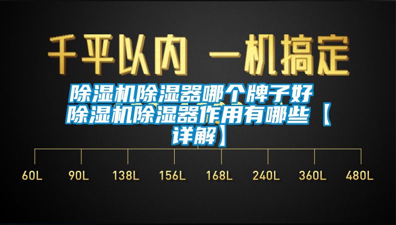 除濕機(jī)除濕器哪個牌子好 除濕機(jī)除濕器作用有哪些【詳解】