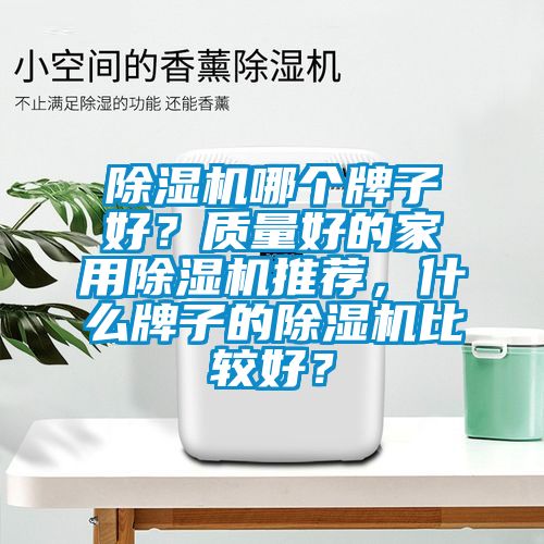 除濕機(jī)哪個(gè)牌子好？質(zhì)量好的家用除濕機(jī)推薦，什么牌子的除濕機(jī)比較好？