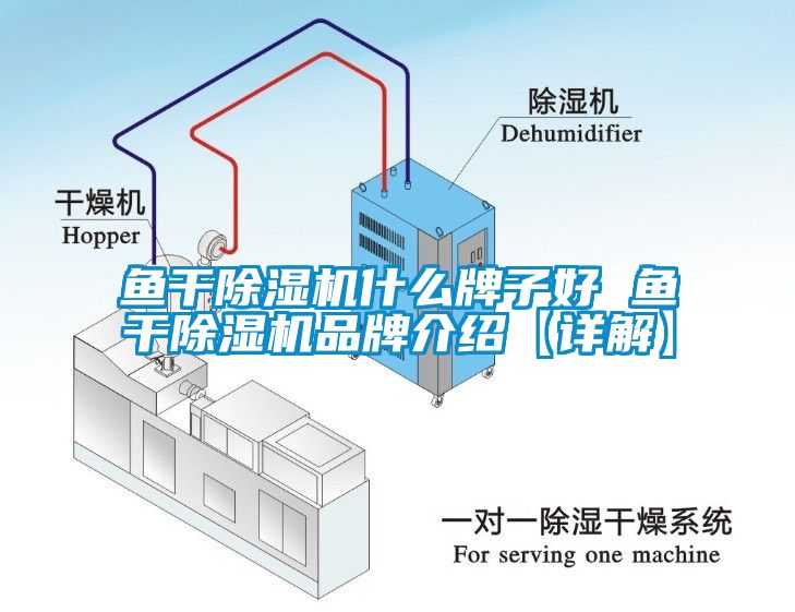 魚干除濕機什么牌子好 魚干除濕機品牌介紹【詳解】