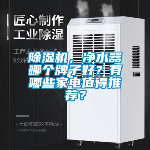 除濕機(jī)，凈水器哪個(gè)牌子好？有哪些家電值得推薦？