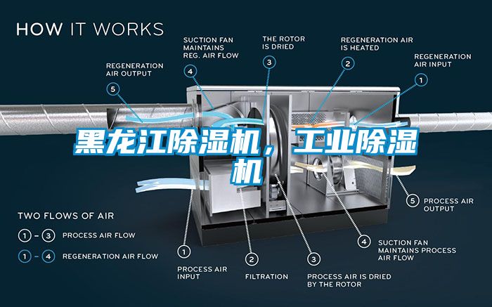 黑龍江除濕機，工業(yè)除濕機