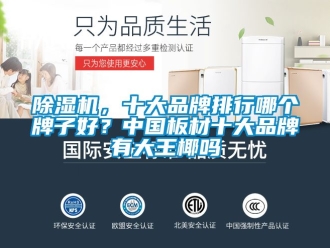 企業(yè)新聞除濕機，十大品牌排行哪個牌子好？中國板材十大品牌有大王椰嗎