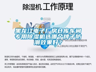 企業(yè)新聞黑龍江電子廠房倉庫車間專用除濕機(jī)選哪個(gè)牌子防潮效果好？