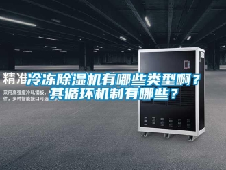 行業(yè)新聞冷凍除濕機(jī)有哪些類(lèi)型?。科溲h(huán)機(jī)制有哪些？