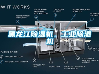 常見問題黑龍江除濕機，工業(yè)除濕機