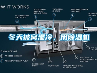 企業(yè)新聞冬天被窩濕冷，用除濕機