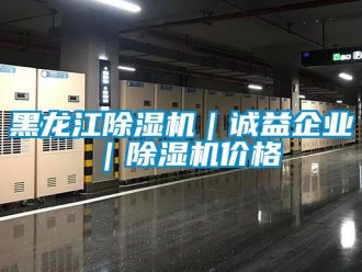 企業(yè)新聞黑龍江除濕機(jī)｜誠益企業(yè)｜除濕機(jī)價(jià)格