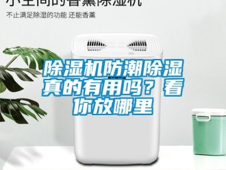 行業(yè)新聞除濕機防潮除濕真的有用嗎？看你放哪里